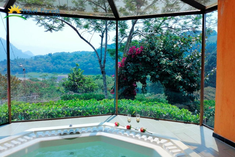 Sport & Beauty 5, HOTEL FOREST, Huauchinango