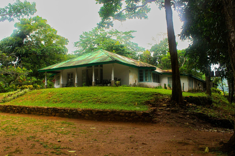 Others 5, HEYCOCK CEYLON HlLL, Ganga Ihala Korale