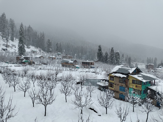 Others 3, New Brahma Guesthouse, Kullu