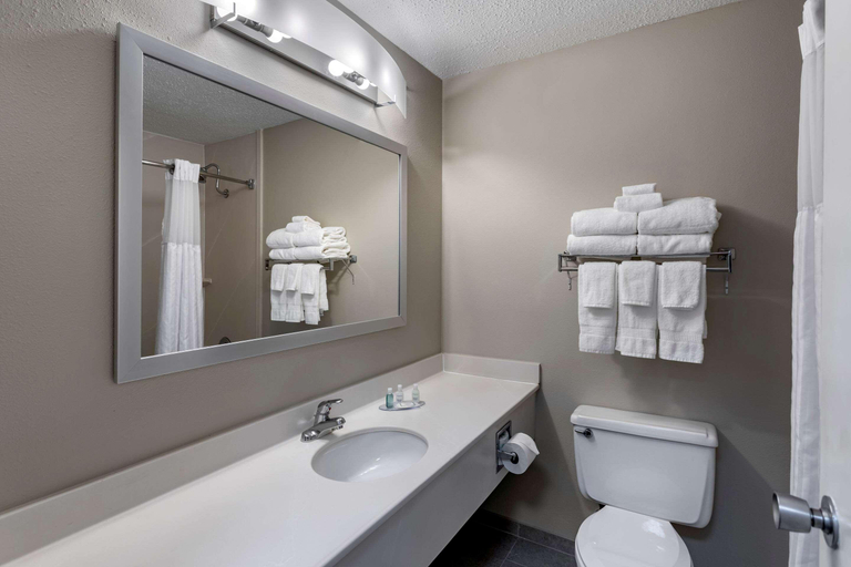 Bathroom 4, Clarion Inn Sheffield, Colbert