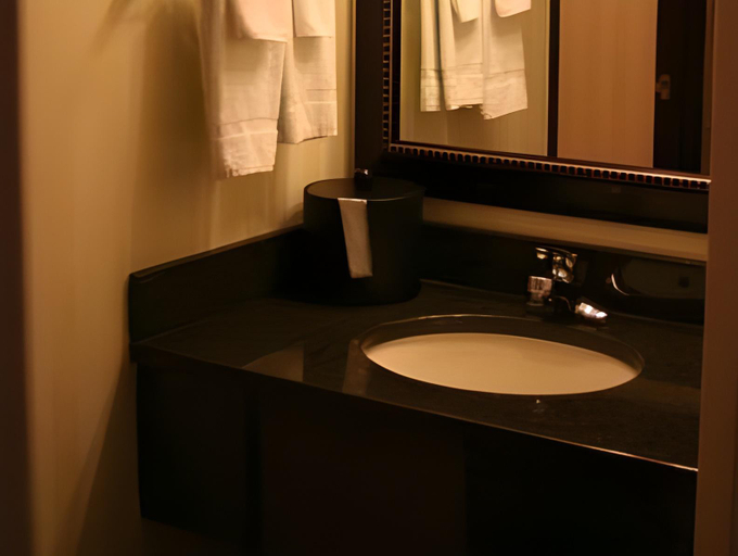 Bathroom 3, Comfort Inn & Suites Olathe - Kansas City, Kansas City