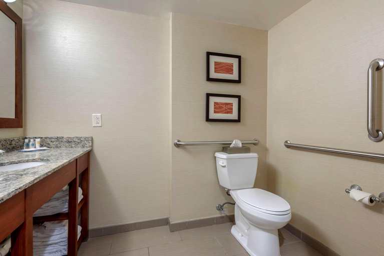 Bathroom 2, Comfort Inn The Pointe, Niagara