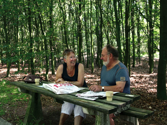 Others 3, Villa w Solarium nr Hoogeveen, De Wolden