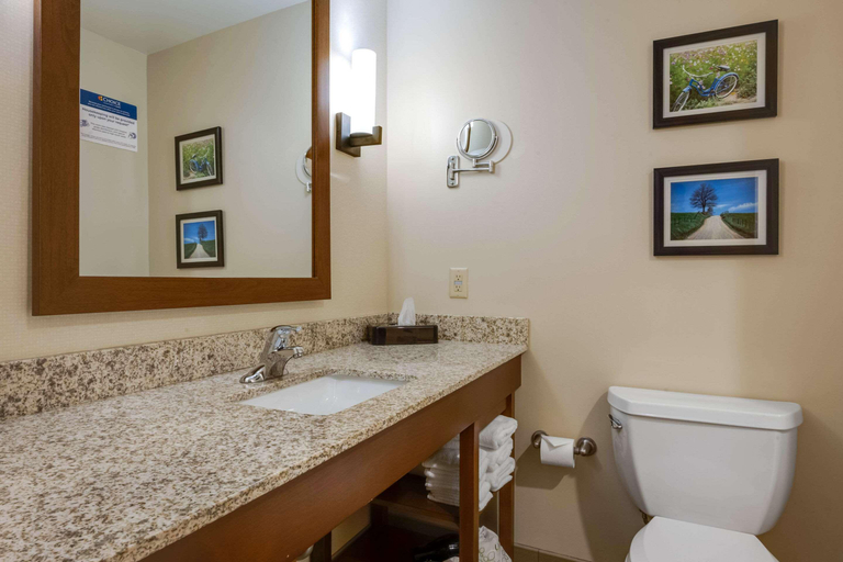 Bathroom 5, Comfort Suites Hotel and Conference Center, Holmes