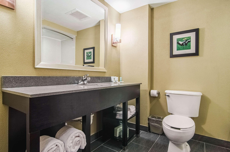 Bathroom 5, Quality Suites Graham, Alamance