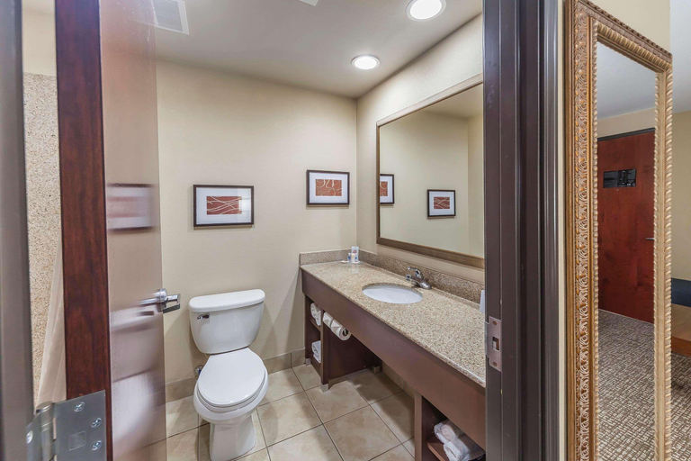 Bathroom 4, Comfort Suites Yukon - SW Oklahoma City, Canadian