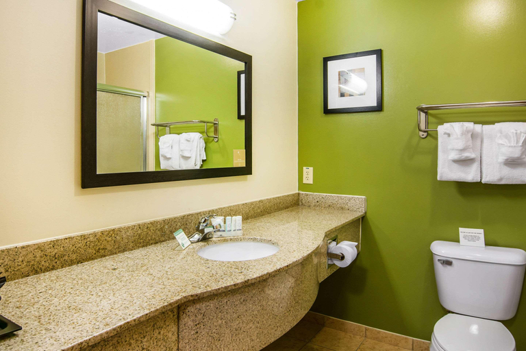Bathroom, Sleep Inn & Suites Marshall Area, Lyon