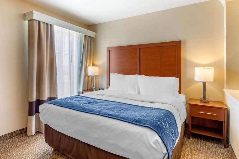 Bedroom 4, Comfort Suites Near Denver Downtown, Denver