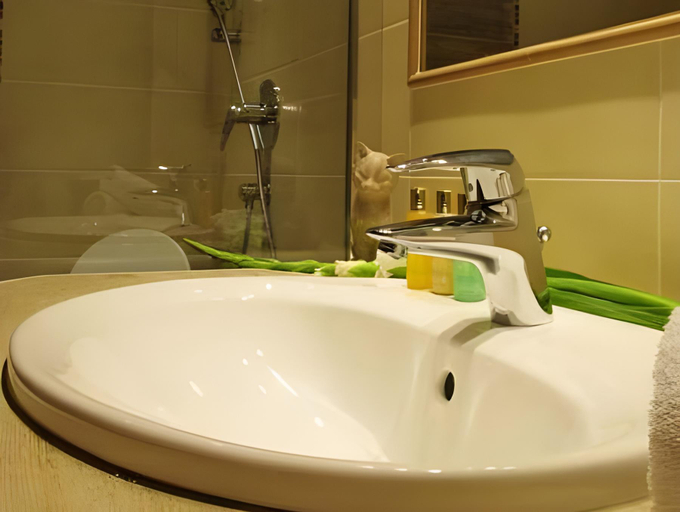 Bathroom 2, Der Torwirt Radstadt, Sankt Johann im Pongau