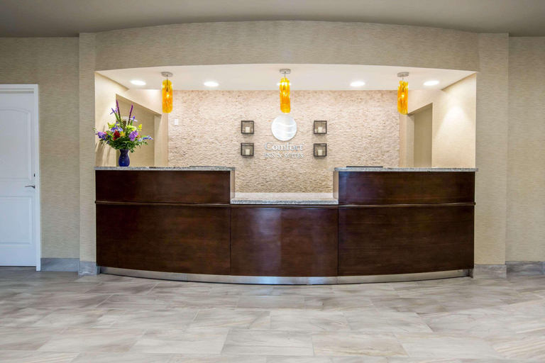 Public Area 2, Comfort Inn & Suites Lovington, Lea