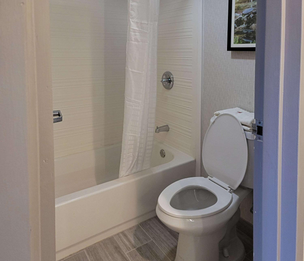 Bathroom 4, Comfort Inn & Suites Wyomissing Reading, Berks