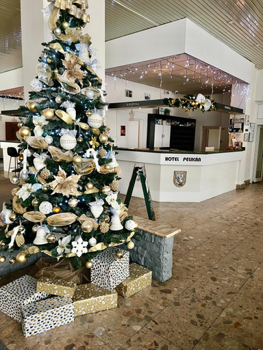 Public Area 2, Hotel Pelikan, Lucenec