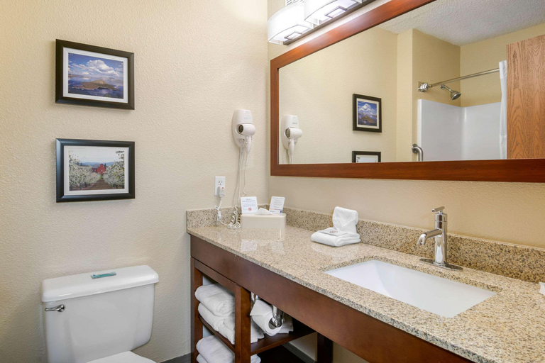 Bedroom 4, Comfort Inn North Medford, Jackson
