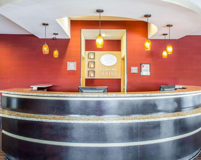 Public Area 2, Comfort Suites Rock Hill Manchester Meadows Area, York