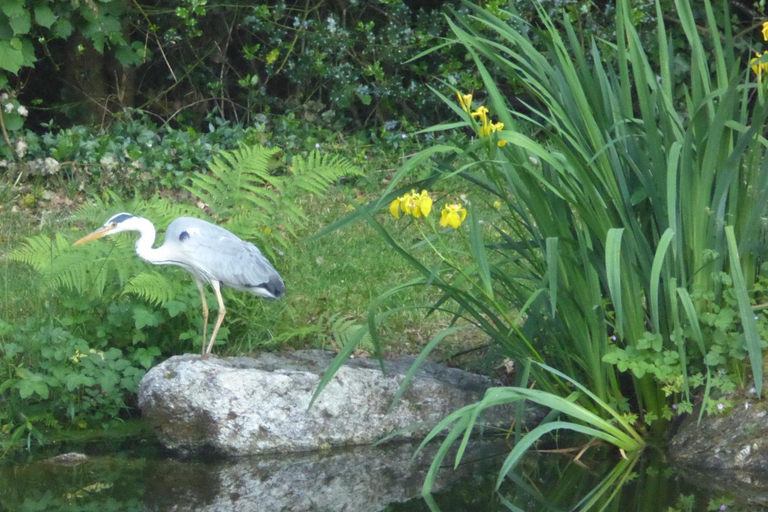 Others 5, Chez Sophie, Morbihan