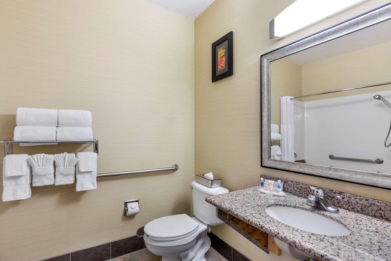 Bathroom 4, Comfort Suites Denver Tech Center, Arapahoe