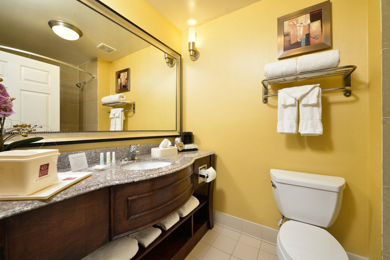 Bathroom, Comfort Suites, Matagorda