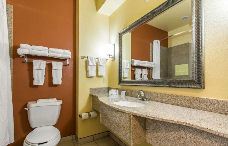 Bathroom 4, Sleep Inn&Suites Huntsville U.S. Space Rocket Ctr., Madison