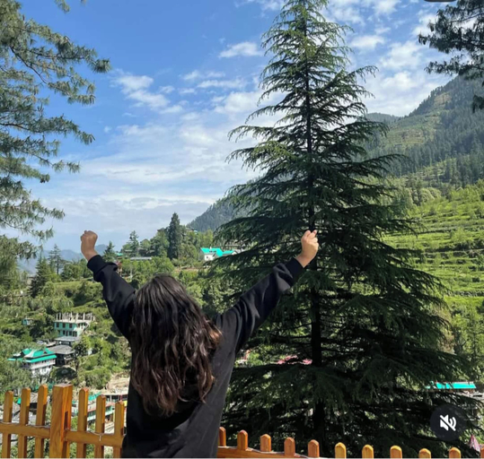 Others 4, Majestic View Cottages, Kullu