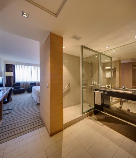 Bathroom 4, Wyndham Concepcion Pettra, Concepción