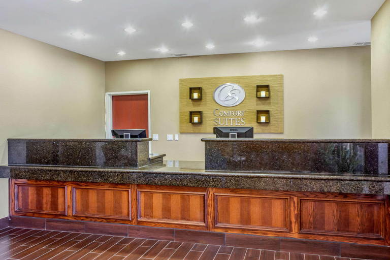 Public Area 2, Comfort Suites Plainview, Hale