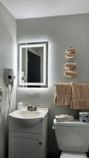 Bathroom 4, Mount Blue Motel, Franklin
