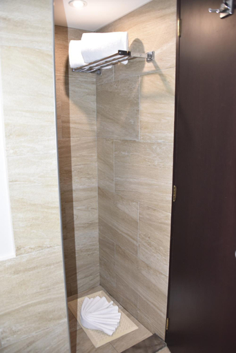 Bathroom 5, Hotel Royal Reforma, Mexico City