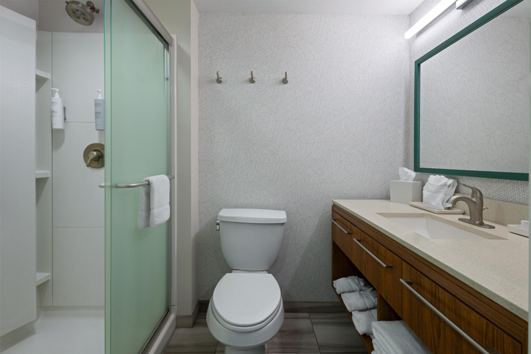 Bathroom 4, Home2 Suites by Hilton Dover, DE, Kent