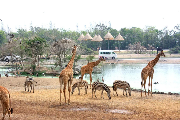 Others 5, 5 Chang Palace, Bang Khen