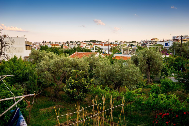 Others 5, Act Art Skiathos, Thessaly