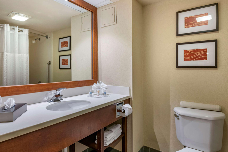 Bathroom 5, Comfort Suites Miami - Kendall, Miami-Dade