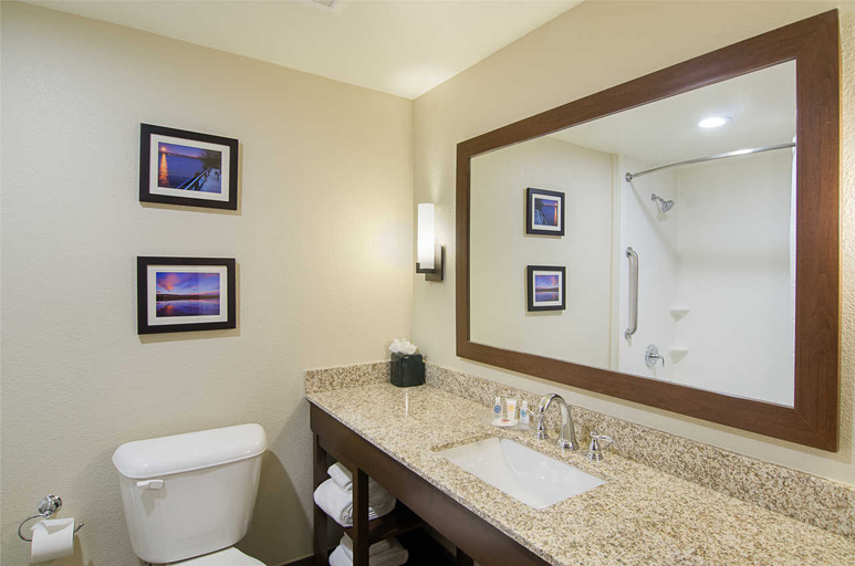 Bathroom 5, Comfort Suites Near Denver Downtown, Denver