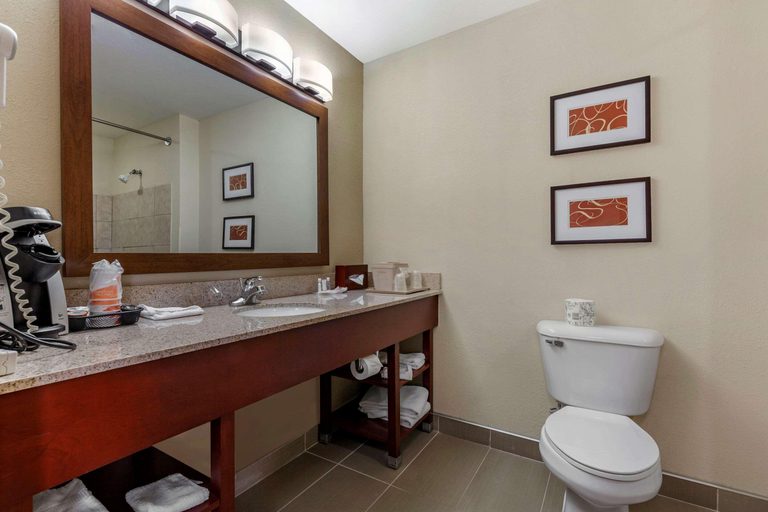 Bathroom 4, Comfort Suites Delavan - Lake Geneva Area, Walworth