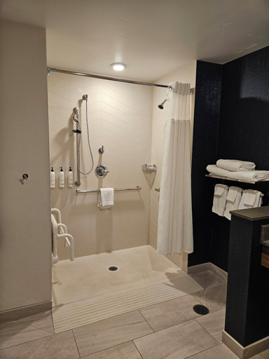 Bathroom 5, Fairfield Inn & Suites by Marriott Duluth Waterfront, Lake Superior