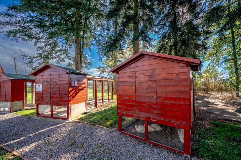 Others 4, Kammerer Vendeghaz, Barcs