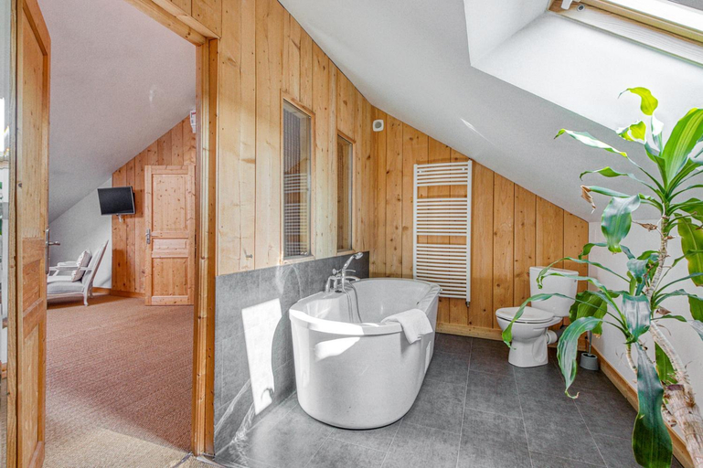 Bathroom 4, Maison d'hotes Villa Richelieu, Vienne