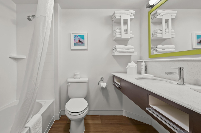 Bathroom 4, Hampton Inn Toledo-South/Maumee, Lucas