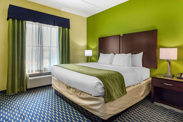 Bedroom 3, Comfort Inn Athens, McMinn