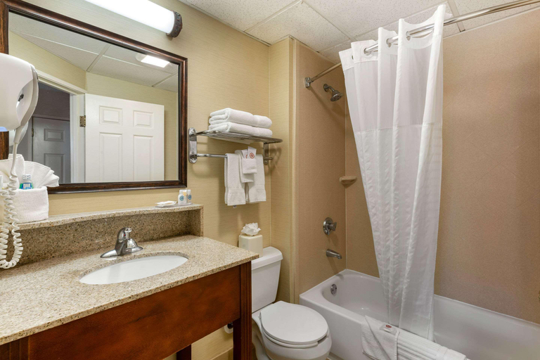 Bathroom 4, Comfort Inn Auburn - Worcester, Worcester