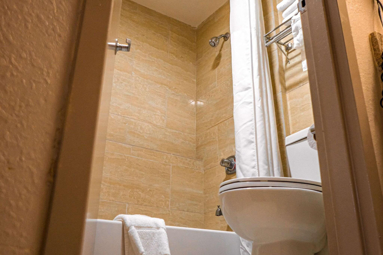 Bathroom, Quality Inn & Suites Near Six Flags - Austell, Douglas