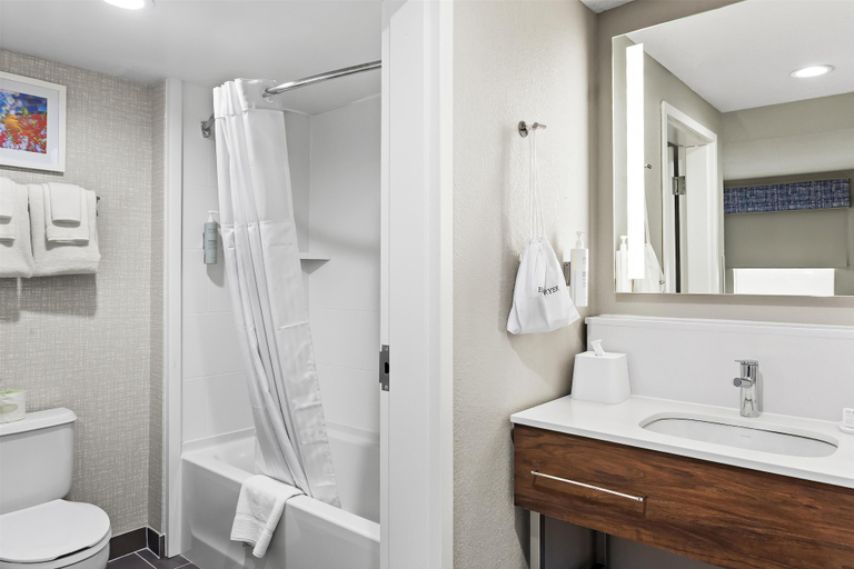 Bathroom 5, Hampton Inn & Suites Bolingbrook, Will