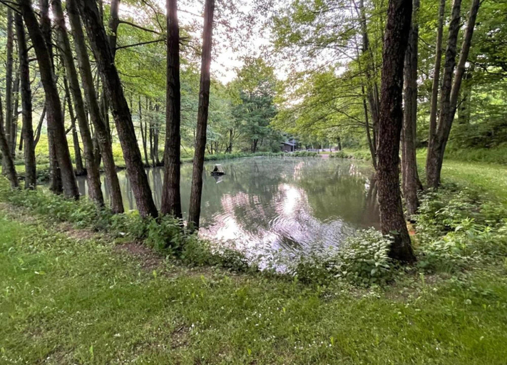 View from property 2, Large, Detached Holiday Home in Willingen With Garden, Waldeck-Frankenberg