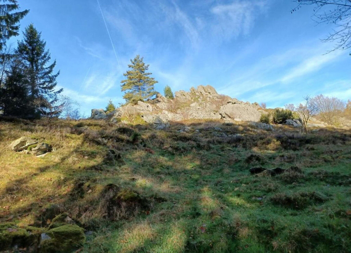 View from property 4, Farmhouse in Neukirchen Near Heiligen Blut, Cham