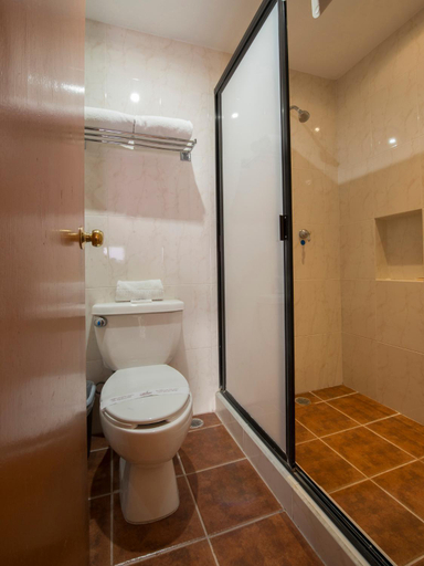 Bathroom 5, Del Gobernador, Mérida