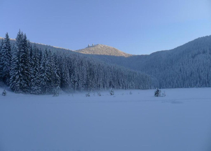 View from property 4, Comfort Apartment With Balcony in the Beautiful Bavarian Forest, Regen