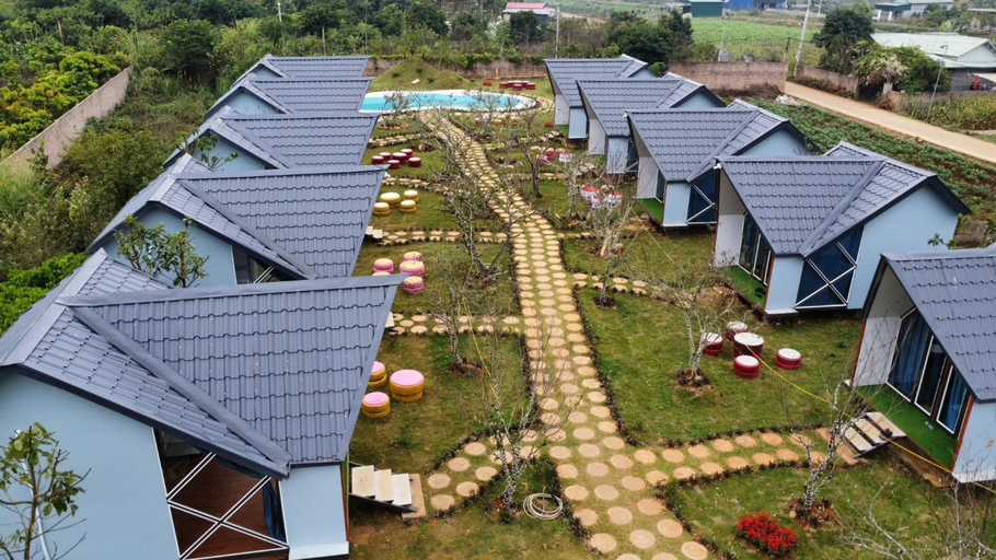 Others 5, Mimosa Moc Chau, Mộc Châu