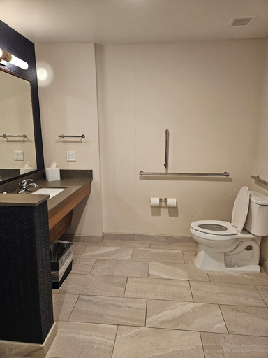 Bathroom 5, Fairfield Inn & Suites by Marriott Duluth Waterfront, Lake Superior
