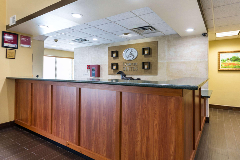 Public Area 2, Comfort Suites Austin Airport, Travis
