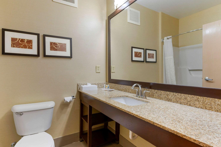 Bathroom 4, Comfort Suites Columbus Expo Center, Franklin