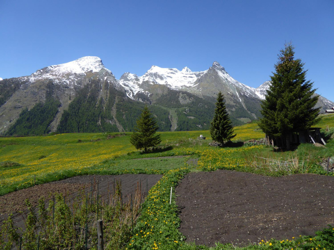 Others 5, Hotel Locanda Grauson, Aosta